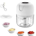 COMPREI 1 LEVE 2 Mini Processador Triturador Elétrico 3 Laminas Recarregável